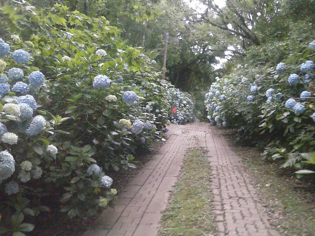 Готель Nanda'S House Pousada Сан-Франсіску-ді-Паула Екстер'єр фото