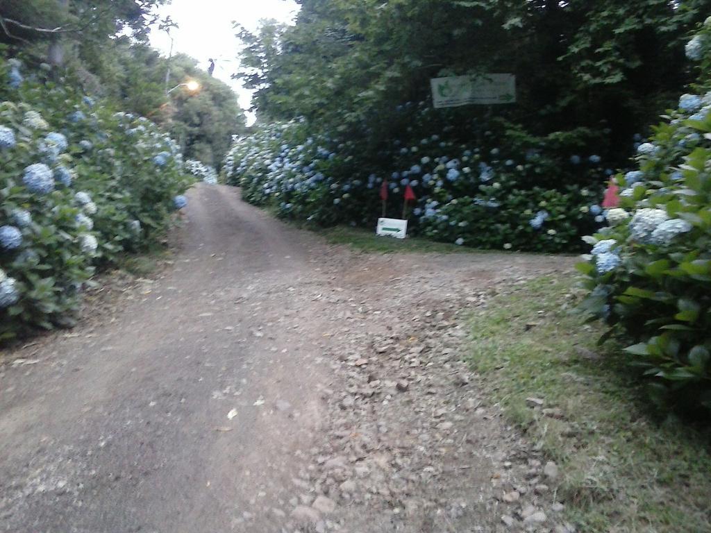 Готель Nanda'S House Pousada Сан-Франсіску-ді-Паула Екстер'єр фото